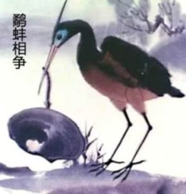 The Fight Between the Snipe and the Clam