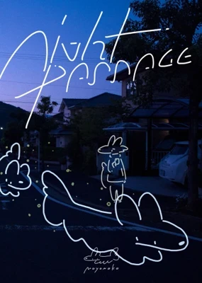 night passage