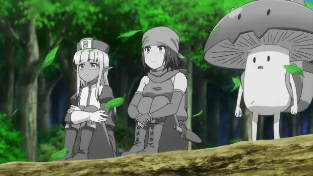 Next Episode Preview