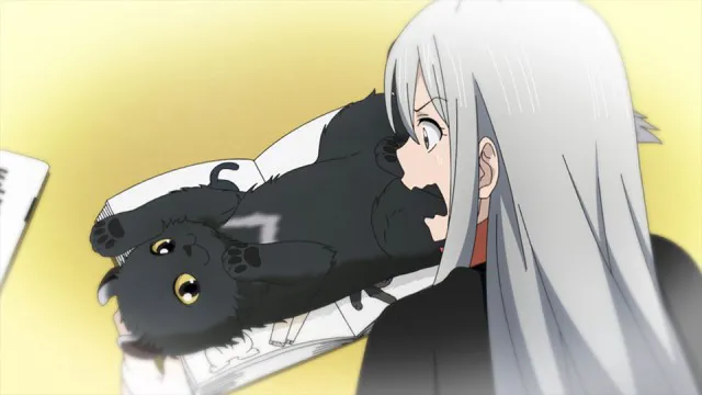 Next Episode Preview