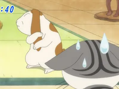 Next Episode Preview