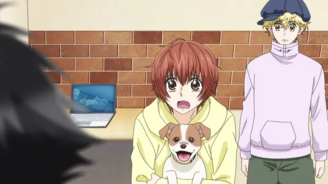 Next Episode Preview