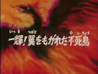 Next Episode Preview