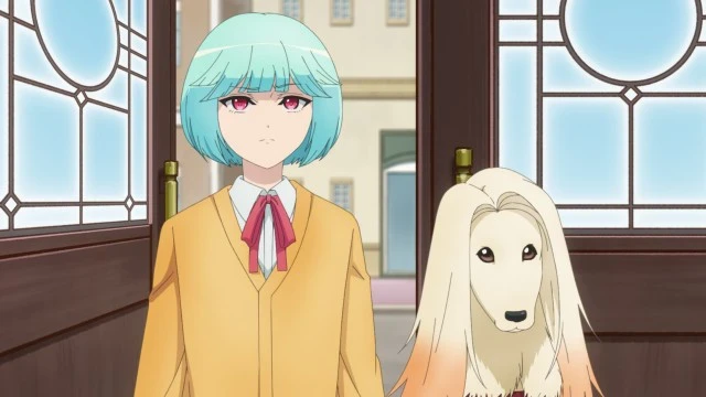 Next Episode Preview