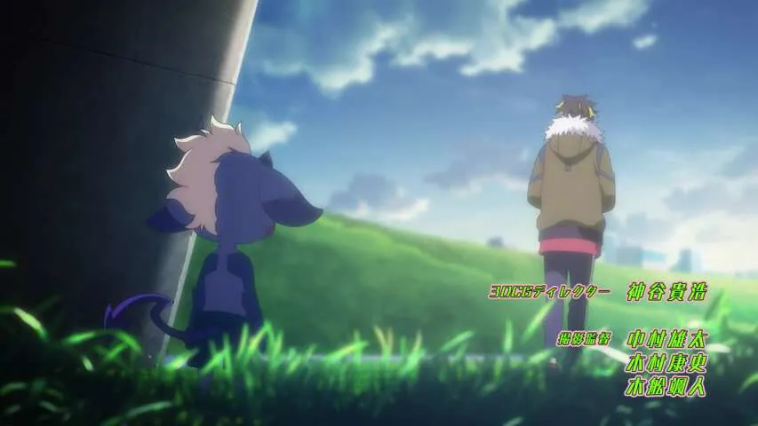 Next Episode Preview