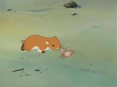 Next Episode Preview