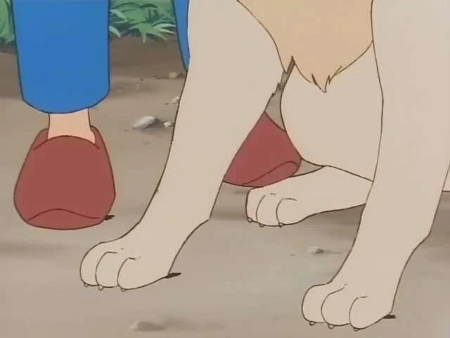 Next Episode Preview