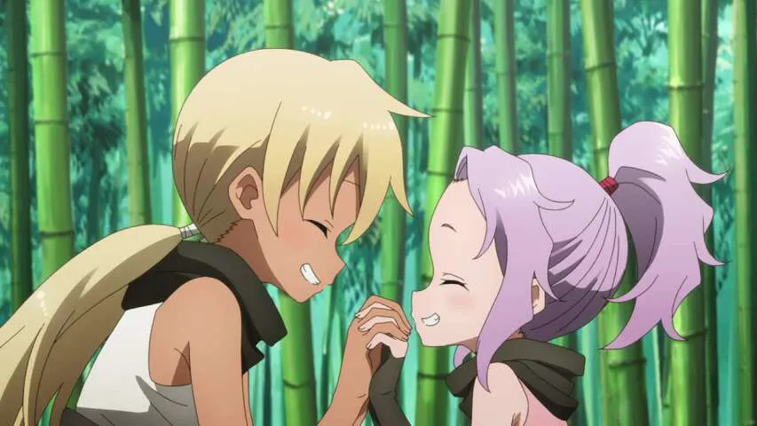 Next Episode Preview