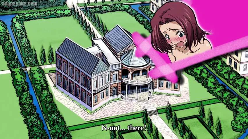 Next Episode Preview