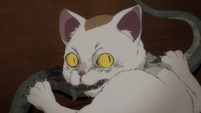 Next Episode Preview