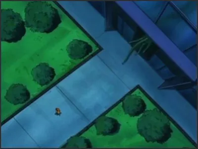 Next Episode Preview