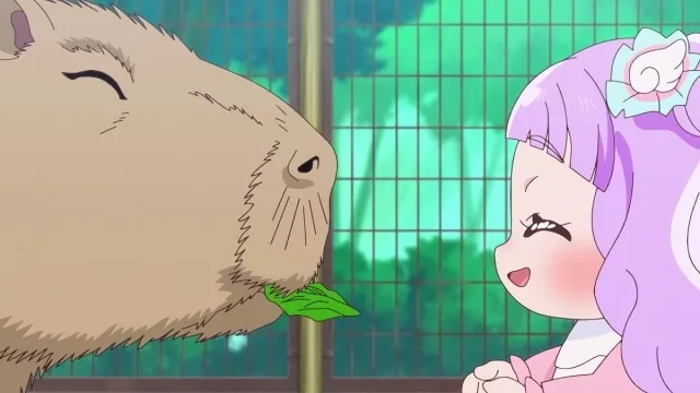 Next Episode Preview
