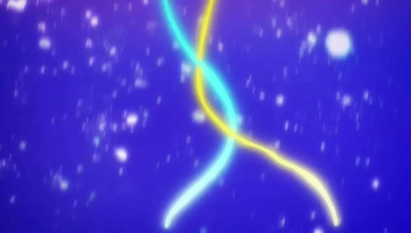 Next Episode Preview