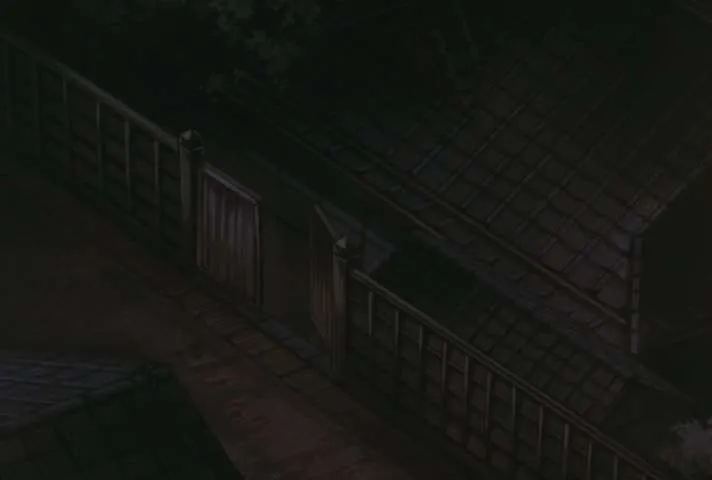 Next Episode Preview