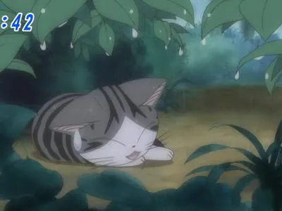 Next Episode Preview
