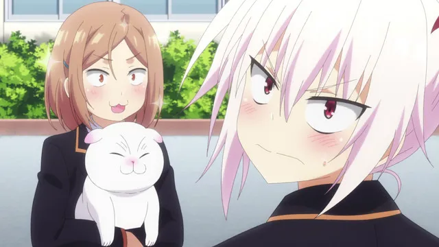 Next Episode Preview