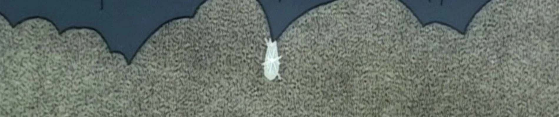 The Drop Banner