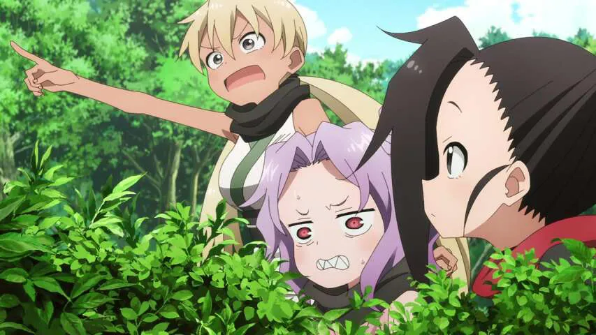 Next Episode Preview