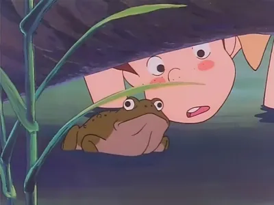 Next Episode Preview