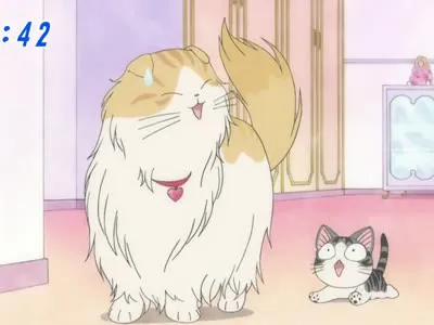 Next Episode Preview