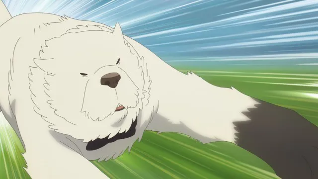 Next Episode Preview