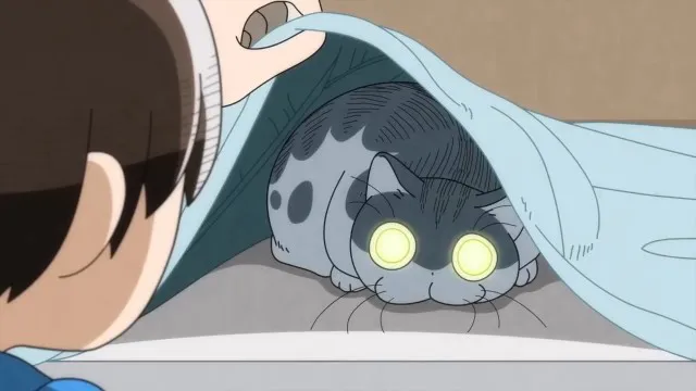 Next Episode Preview