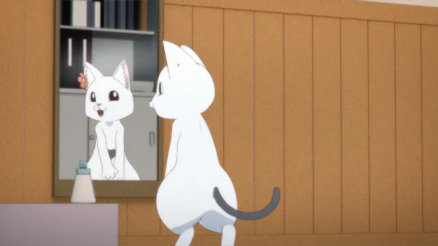 Next Episode Preview