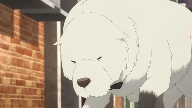 Next Episode Preview