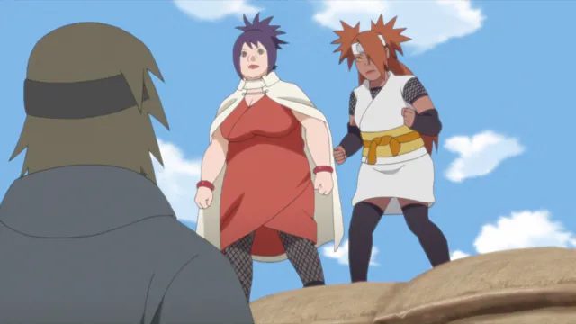 Next Episode Preview