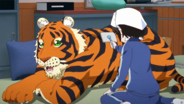 Next Episode Preview