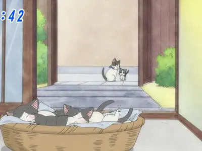 Next Episode Preview