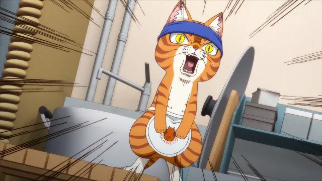Next Episode Preview