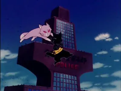 Next Episode Preview