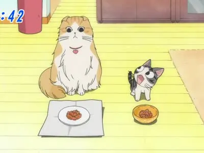 Next Episode Preview
