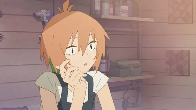 Next Episode Preview