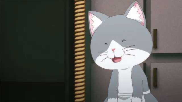 Next Episode Preview