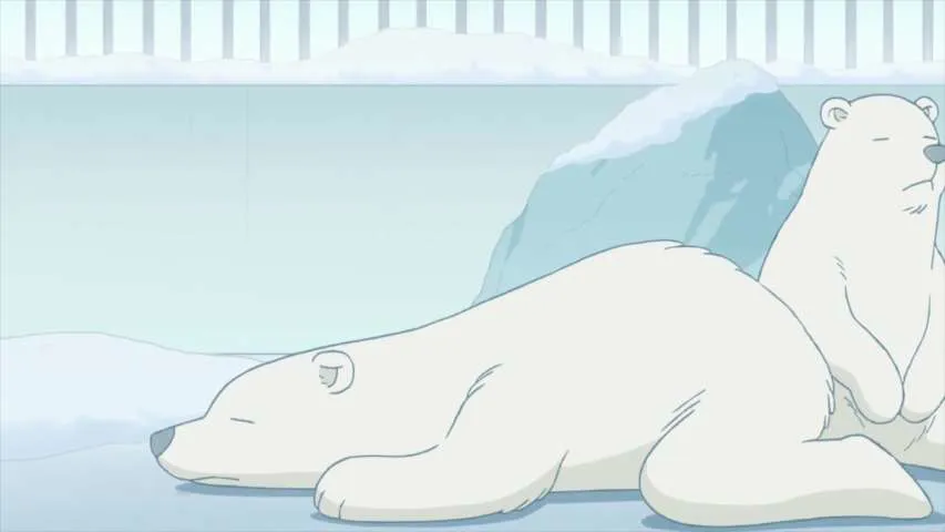 Next Episode Preview